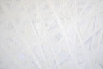 BEAta Pflanz - White, oil on canvas, 40x60 cm